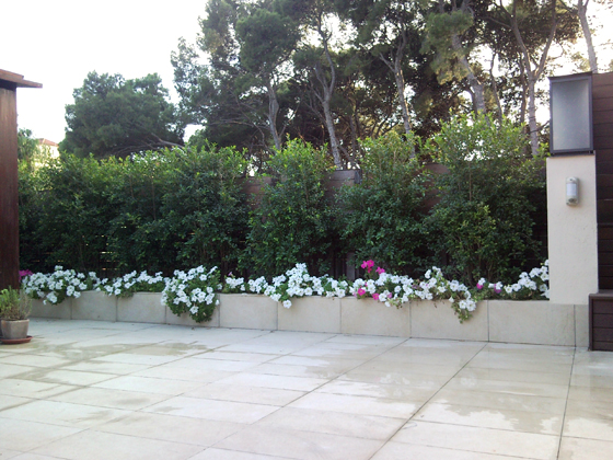 construccion de parterre