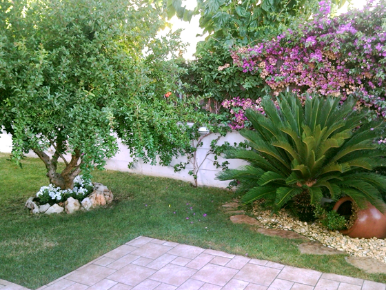 construccion de parterre